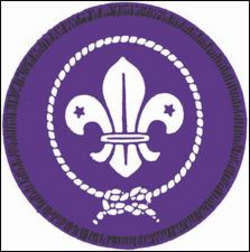 Scout Investitures